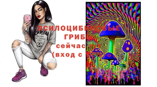 крисы Абдулино