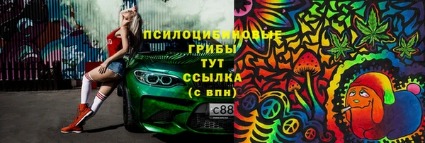 молекула духа Абинск