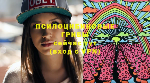 молекула духа Абинск